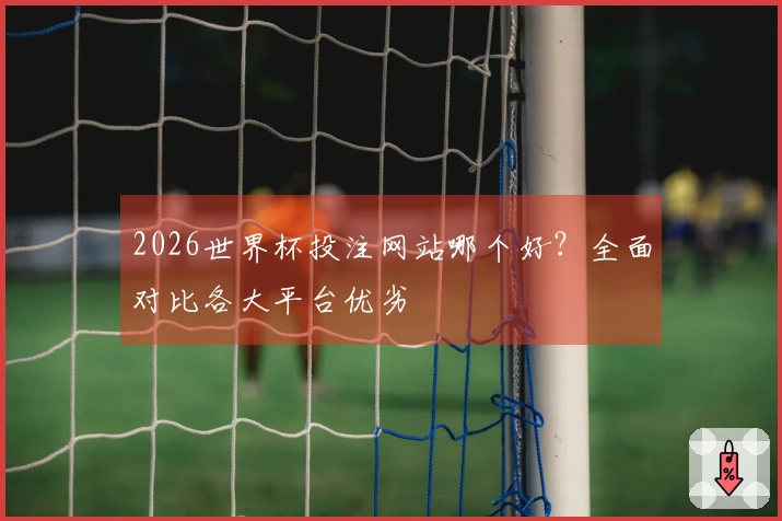 2026世界杯投注网站哪个好？全面对比各大平台优劣