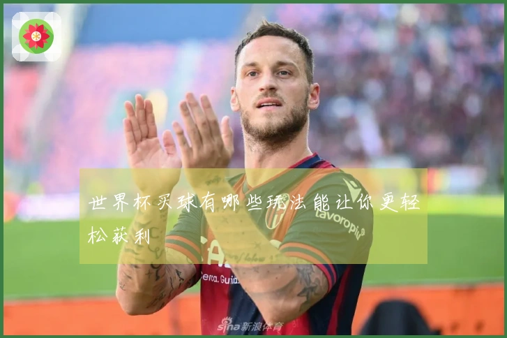 世界杯买球有哪些玩法能让你更轻松获利