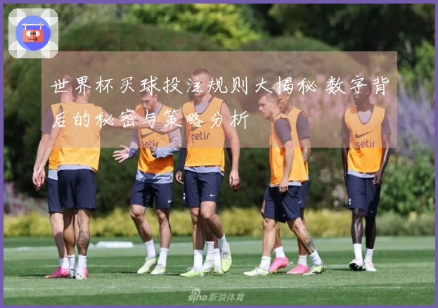 世界杯买球投注规则大揭秘 数字背后的秘密与策略分析