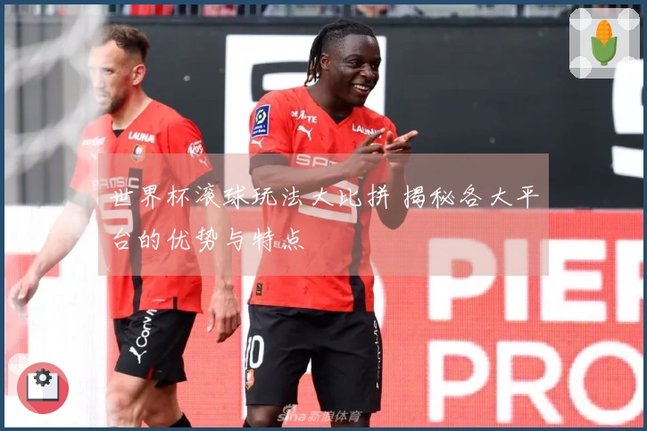 世界杯滚球玩法大比拼 揭秘各大平台的优势与特点