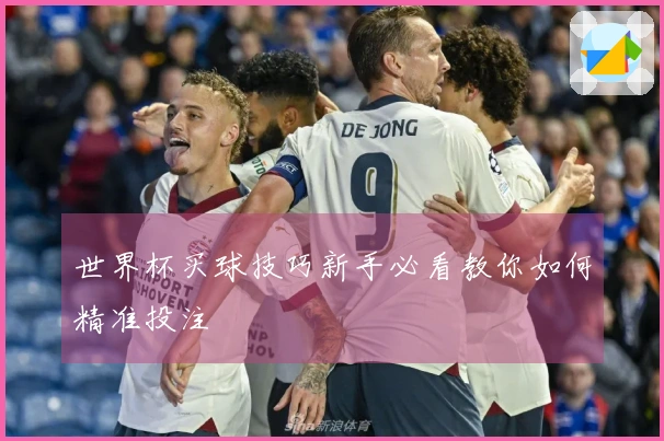 世界杯买球技巧新手必看教你如何精准投注