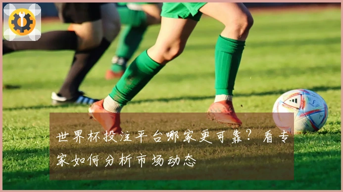 世界杯投注平台哪家更可靠？看专家如何分析市场动态