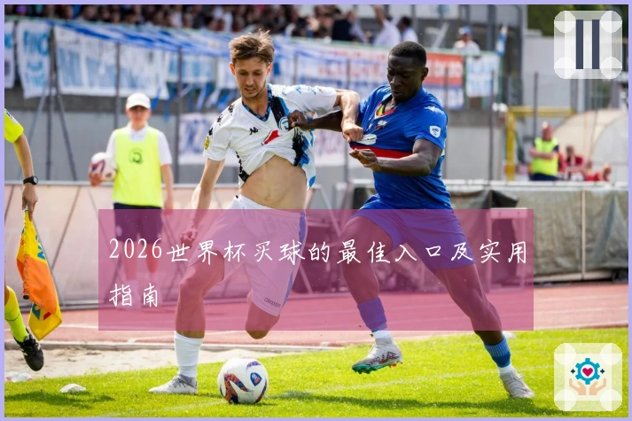2026世界杯买球的最佳入口及实用指南