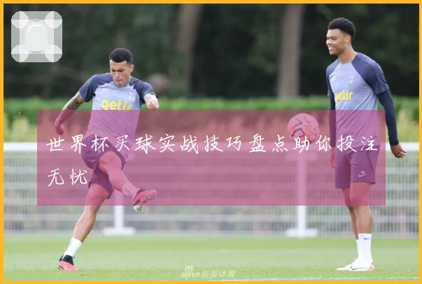 世界杯买球实战技巧盘点助你投注无忧