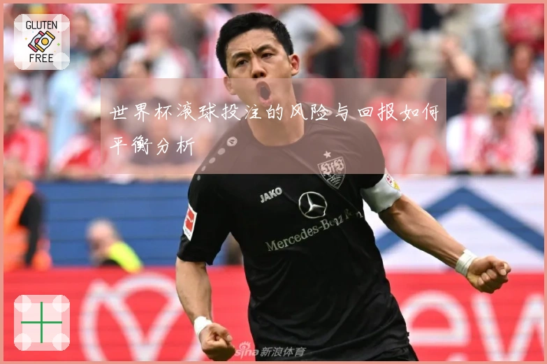 世界杯滚球投注的风险与回报如何平衡分析